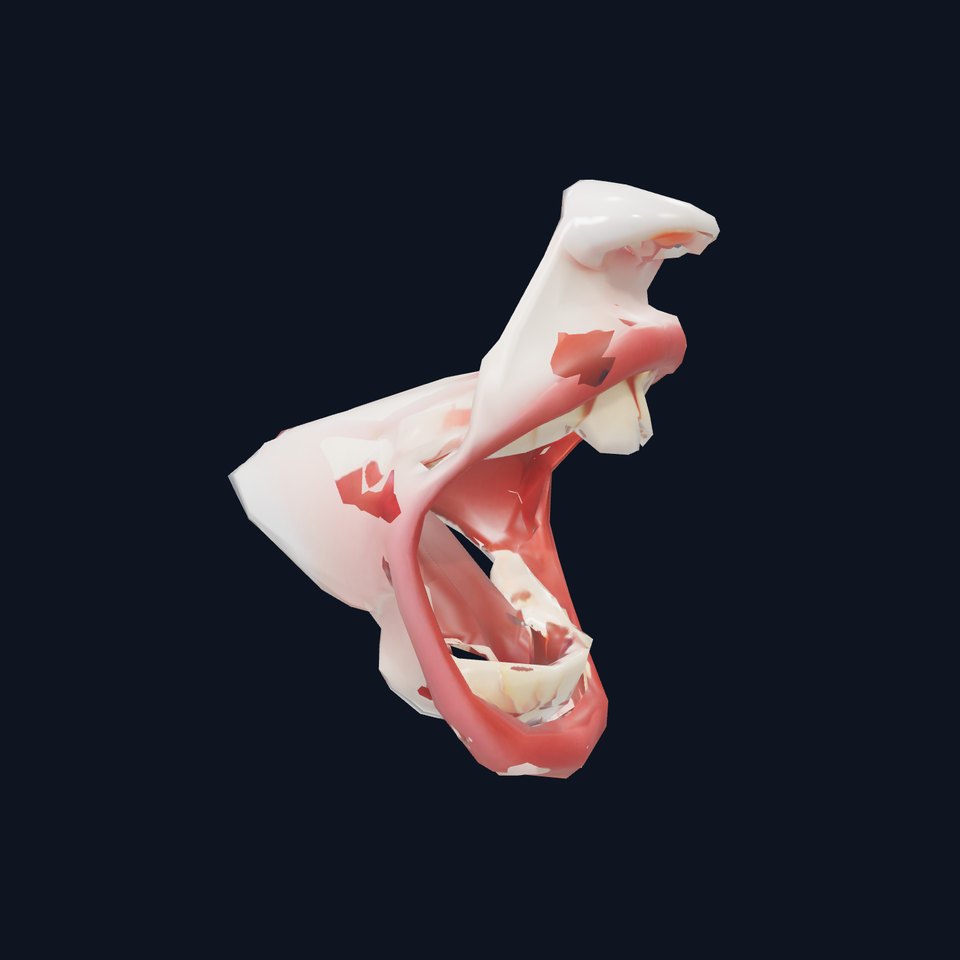 Realistic Human Mouth model pack